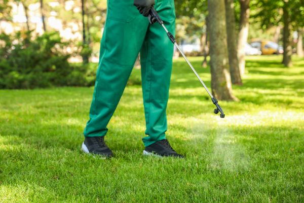Pittsburgh Lawn Treatment
